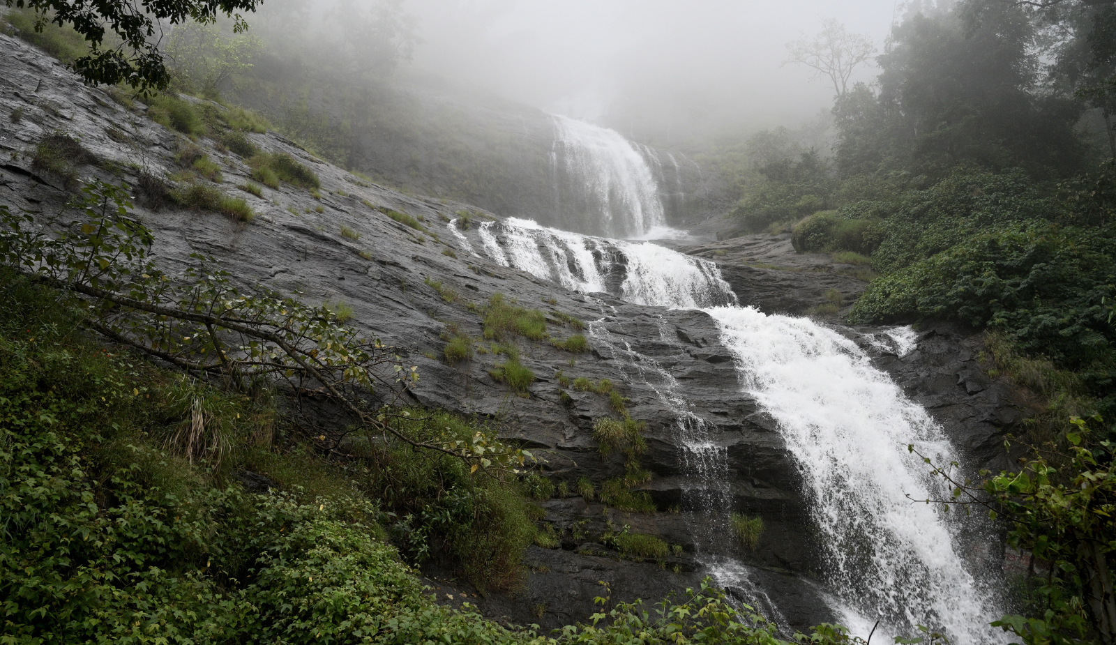 Backwaters & Hills: Kerala Short Escape (3N/4D)