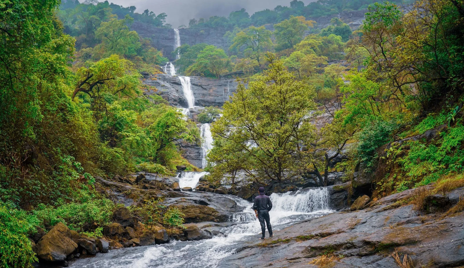 Backwaters & Hills: Kerala Short Escape (3N/4D)