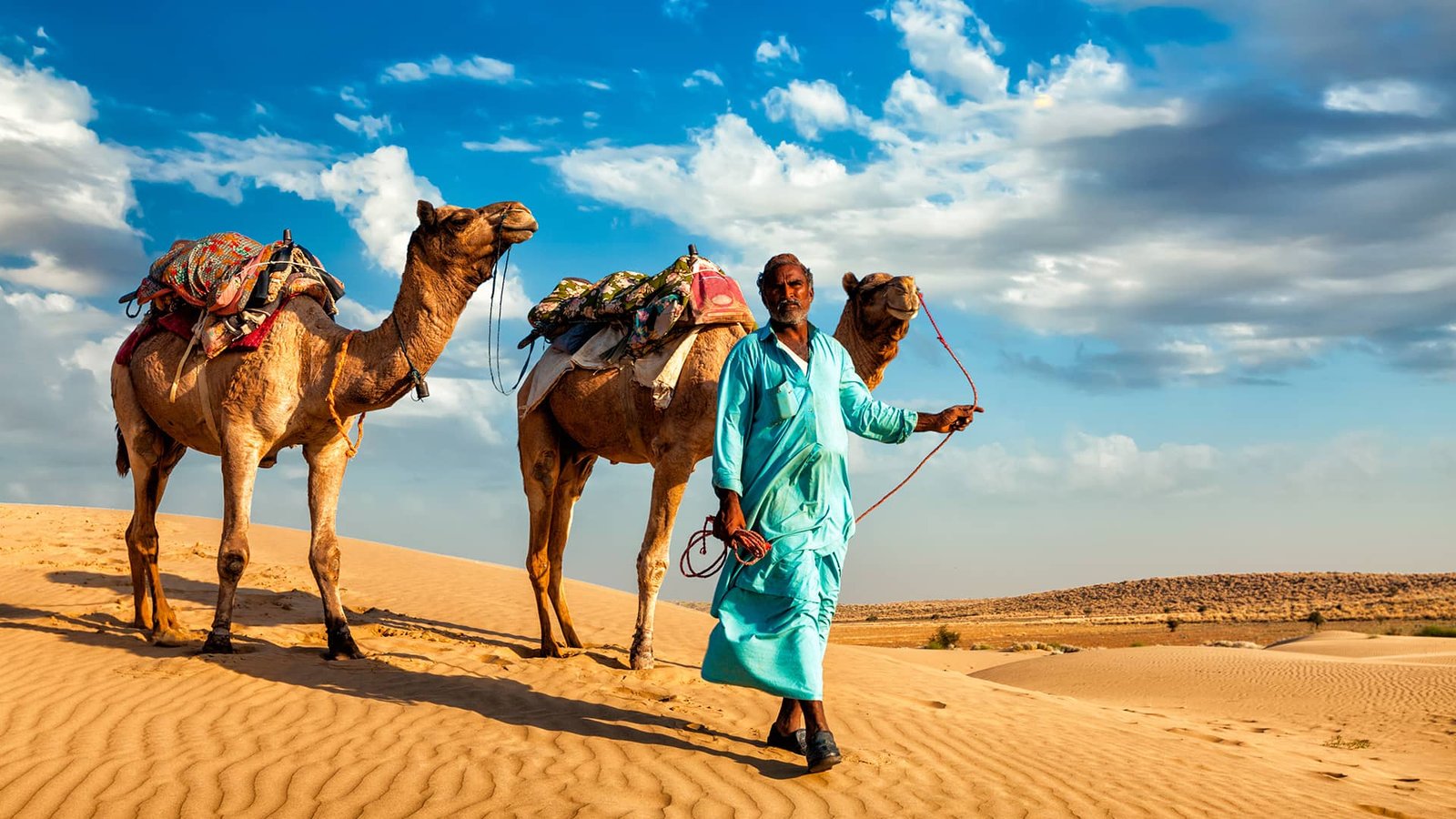The Essence of Rajasthan